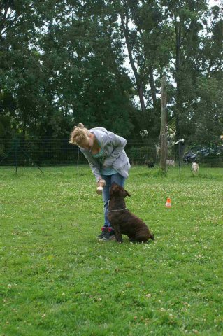 obeissance 2014-08-02